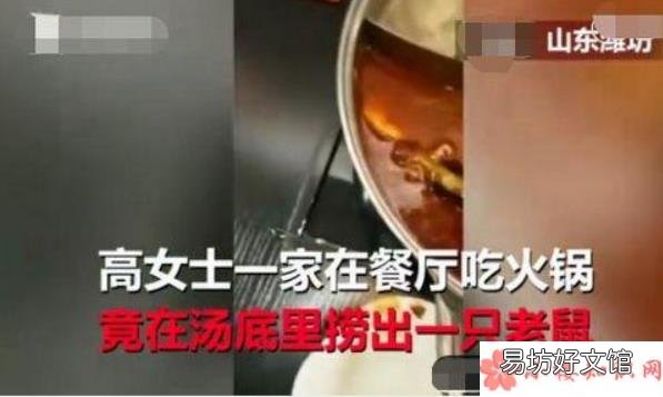 孕妇吃火锅吃出老鼠真的吗 孕妇在呷哺呷哺吃出老鼠怎么回事