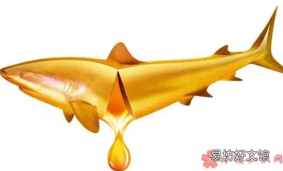 鱼油和鱼肝油有什么不同 宝宝吃鱼油还是鱼肝油