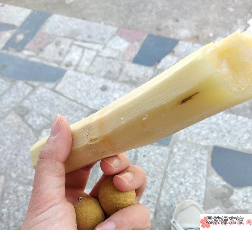 甘蔗发红了可以吃吗 甘蔗心发浅褐色能吃吗