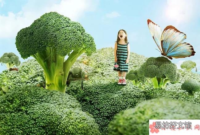 宝宝吃西兰花注意事项 宝宝多大可以吃西兰花