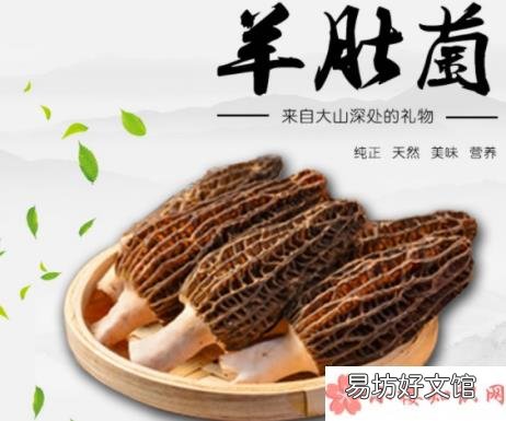 宝宝吃羊肚菌的好处 宝宝吃羊肚菌好吗