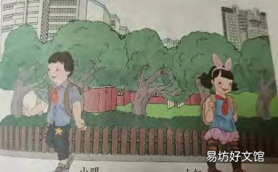 教材插图问题，哪些环节失守了？