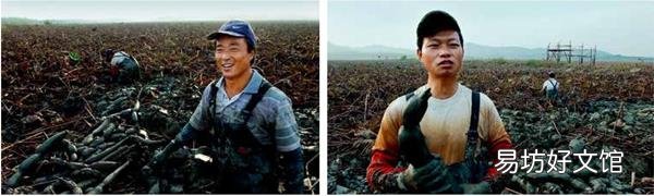 “中国原来很容易让人理解”
