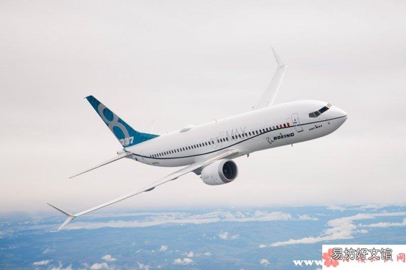 波音停飞机型737max 波音737停飞的是哪个机型