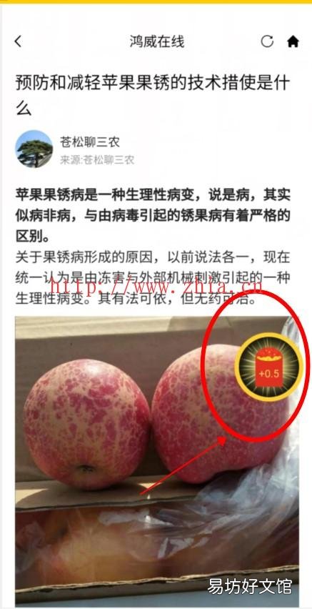 真的能zuan钱吗? 宏灵在线APP怎么zuan钱