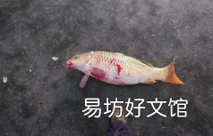 一起来向老钓客学习下 夏天锚鲤鱼,有什么小技巧