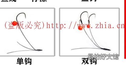 关键就在这三点上! 怎样挑选好的鸡爪钩锚鱼