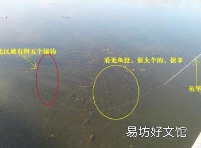 单钩效果如何？来看看 远投锚鱼搭配蝴蝶串钩中鱼率最高吗
