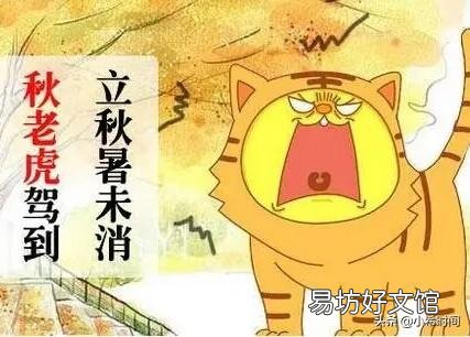 为什么说,立秋后还有二十四个秋老虎?