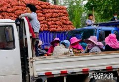 大蒜涨钱，有的蒜农为什么不卖？后期还要再涨吗？