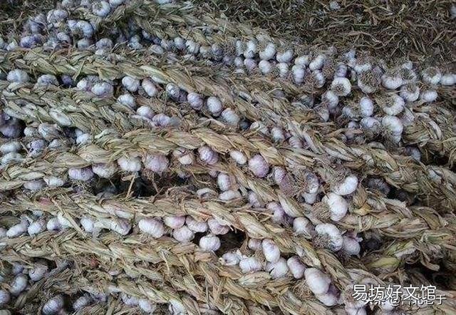 大蒜涨钱,有的蒜农为什么不卖?后期还要再涨吗?