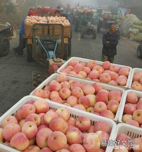 苹果批发价已突破7元/斤，还会涨吗？啥时卖最划算？