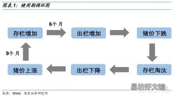 目前两广地区抛售严重,生猪主要流向河南等地,形成“南猪北调”拉低猪价,你怎么看?