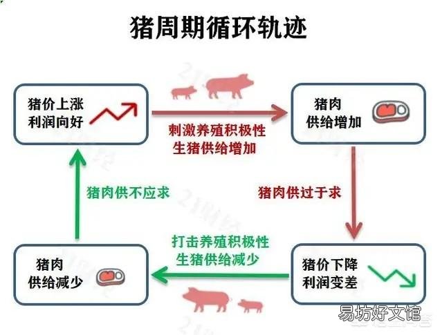 二季度猪肉的供需和市场形势大概如何?