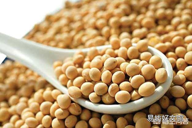 现在大豆价格如何?为什么豆粕价格在上涨?