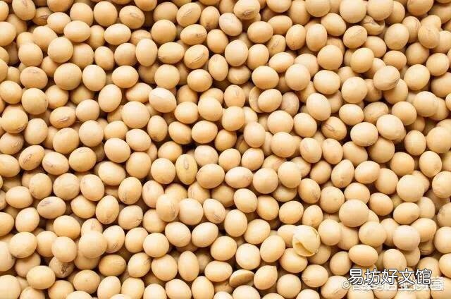 4月份豆粕的价格连续上涨？大豆价格上涨吗？究竟是什么原因？