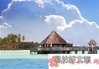 让周冬雨欲罢不能的中餐厅明星菜式制作合集