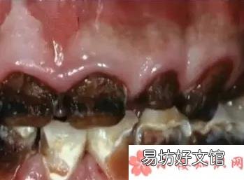 不妨让他知道水果的魅力 孩子喜欢喝碳酸饮料