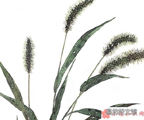 迎接十二月的朋友圈说说 2019迎接十二月的励志句子