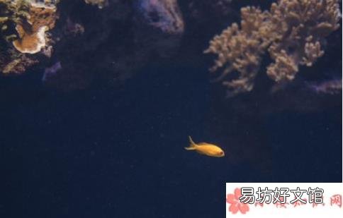 在外地上学最深刻的感受有哪些 外地读书最大的感触是什么