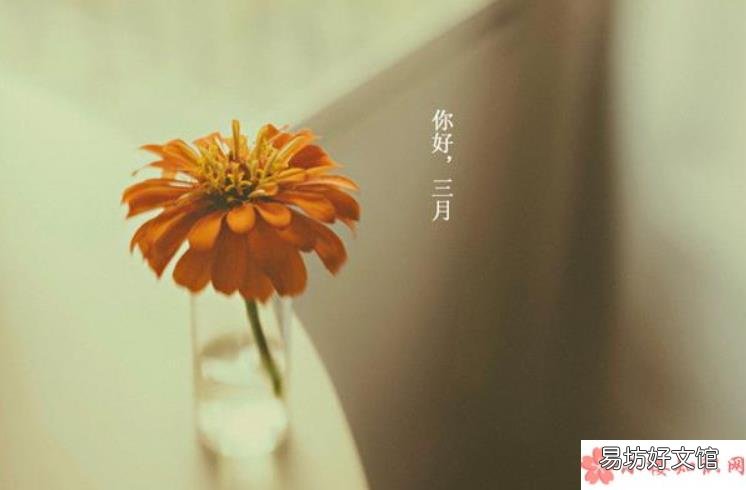 三月第一天你好的朋友圈说说句子 三月第一天的朋友圈说说