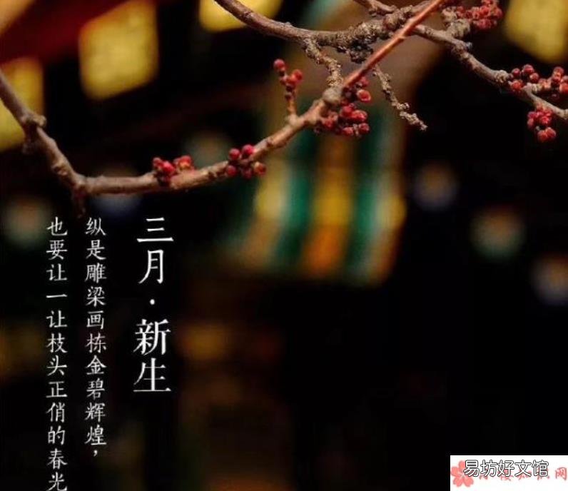 三月第一天你好的朋友圈说说句子 三月第一天的朋友圈说说