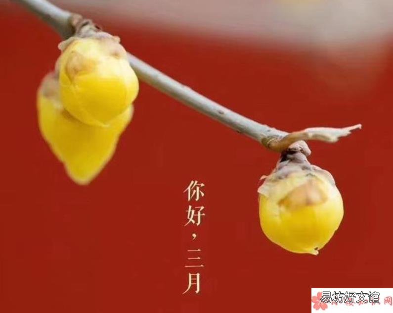 三月第一天你好的朋友圈说说句子 三月第一天的朋友圈说说