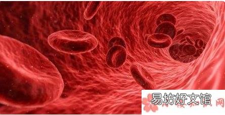 蚂蚁庄园3月3日答案 为什么透过皮肤看静脉血管是蓝色