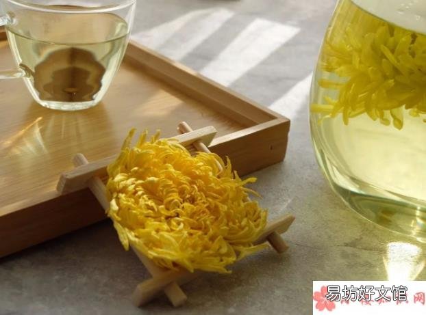 喝菊花茶的注意事项 菊花泡水怎么喝效果更好