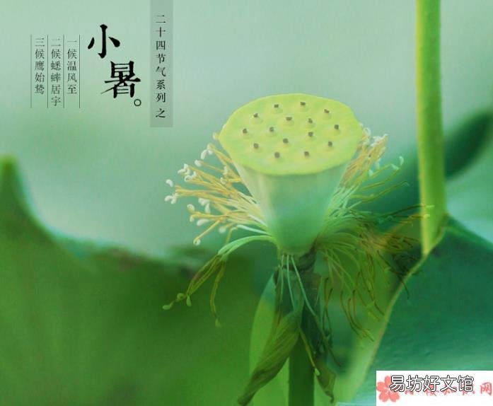 蚂蚁庄园7月7日答案介绍：小暑食新的习俗是指什么