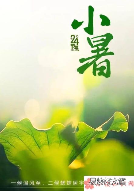 蚂蚁庄园7月7日答案介绍：小暑食新的习俗是指什么