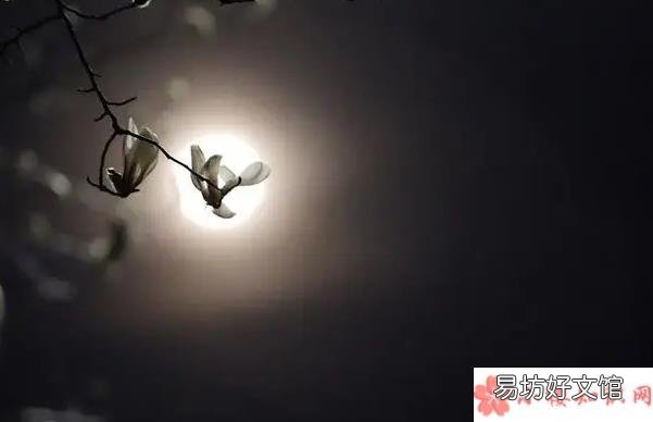 《落空》完整版歌词在线听歌 有一颗紧紧依靠着你的心一瞬间落空是什么歌