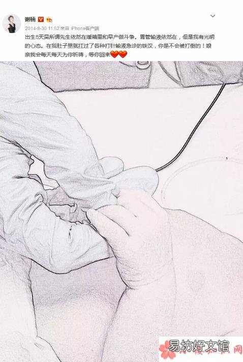 生不生二胎应该谁说了算 谢楠为什么不生二胎