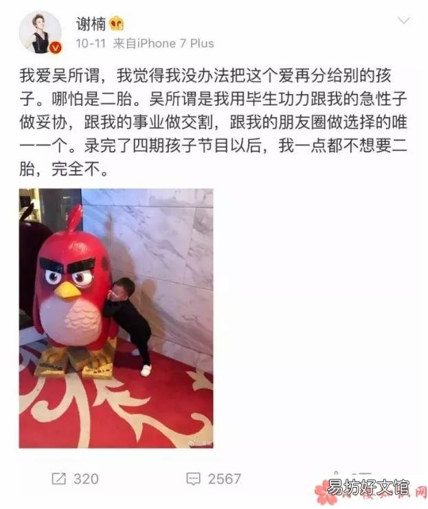 生不生二胎应该谁说了算 谢楠为什么不生二胎