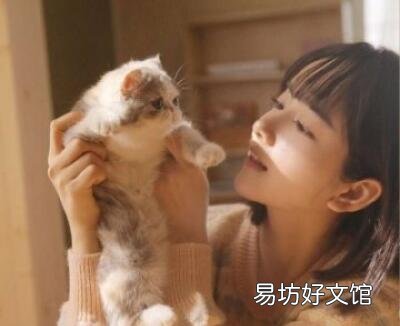 喜欢猫的女人性格心理特点(喜欢猫的女人性格分析)