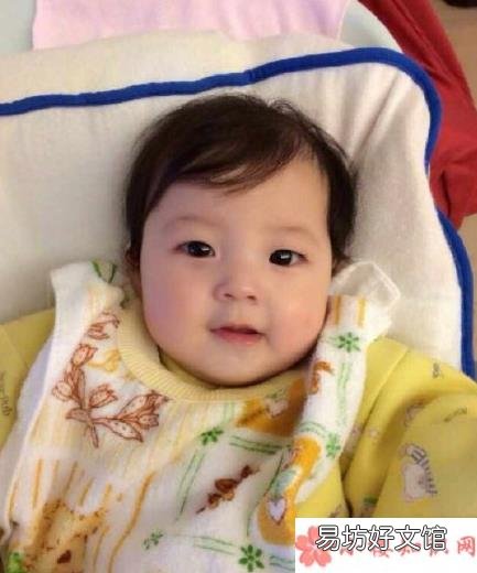 小泡芙幼时高清照片 小泡芙幼时长什么样