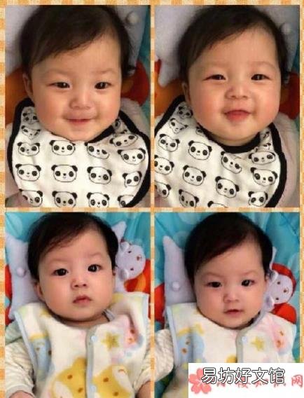 小泡芙幼时高清照片 小泡芙幼时长什么样