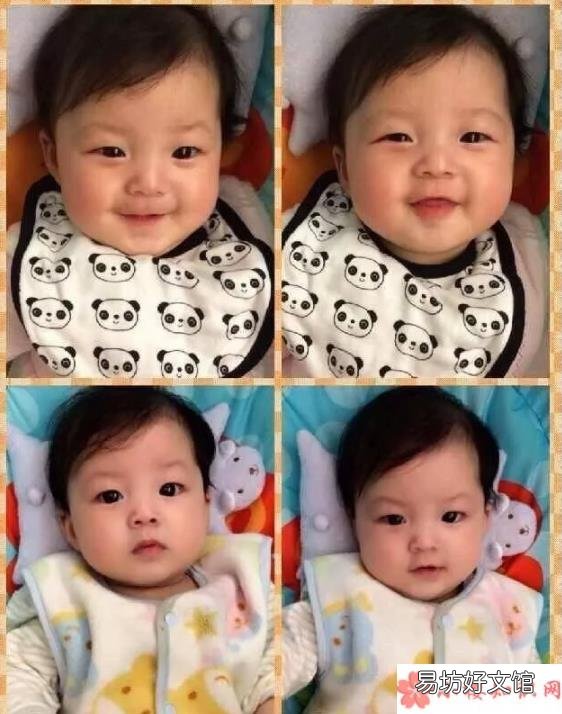 為什么小泡芙那么乖巧 小泡芙幼時軟萌照片有哪些