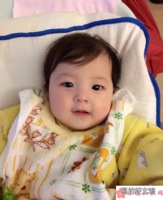 為什么小泡芙那么乖巧 小泡芙幼時軟萌照片有哪些