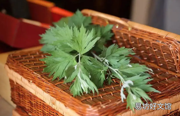 艾蒿的功效与作用 艾蒿能吃吗怎么吃