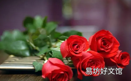 養玫瑰花哪些是要注意的 玫瑰花好養活嗎