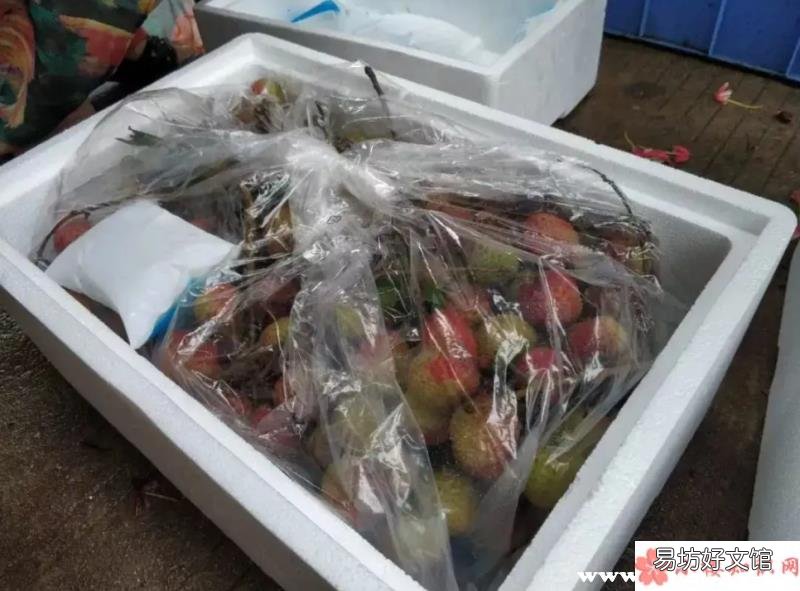 水果寄快遞怎樣保鮮不會壞掉 寄水果怎么寄才不會壞