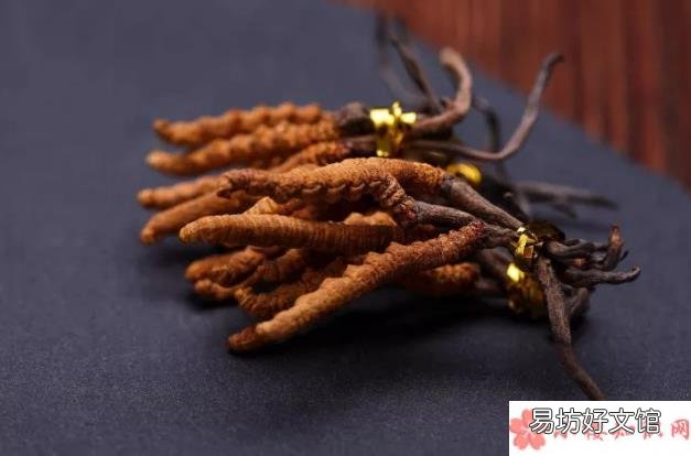 准妈妈吃冬虫夏草好不好 怀孕可以吃冬虫夏草吗