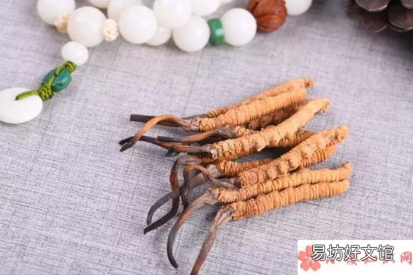准妈妈吃冬虫夏草好不好 怀孕可以吃冬虫夏草吗