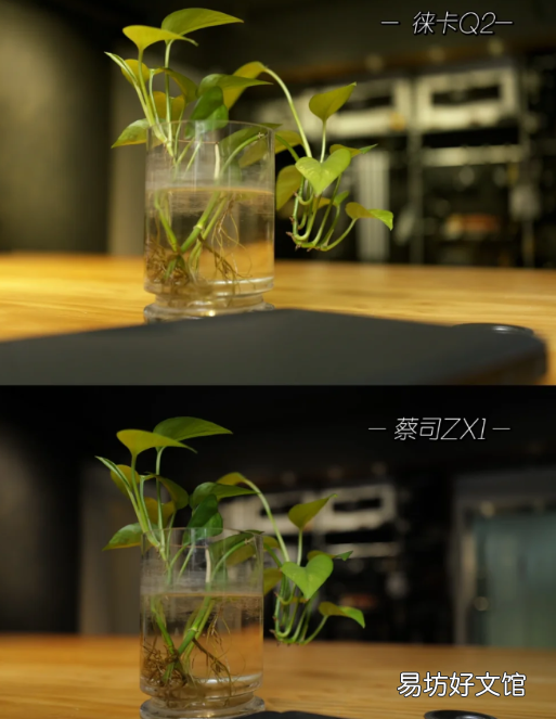 蔡司ZX1 和 徠卡Q2拍照對比 徠卡和蔡司是一個檔次嗎