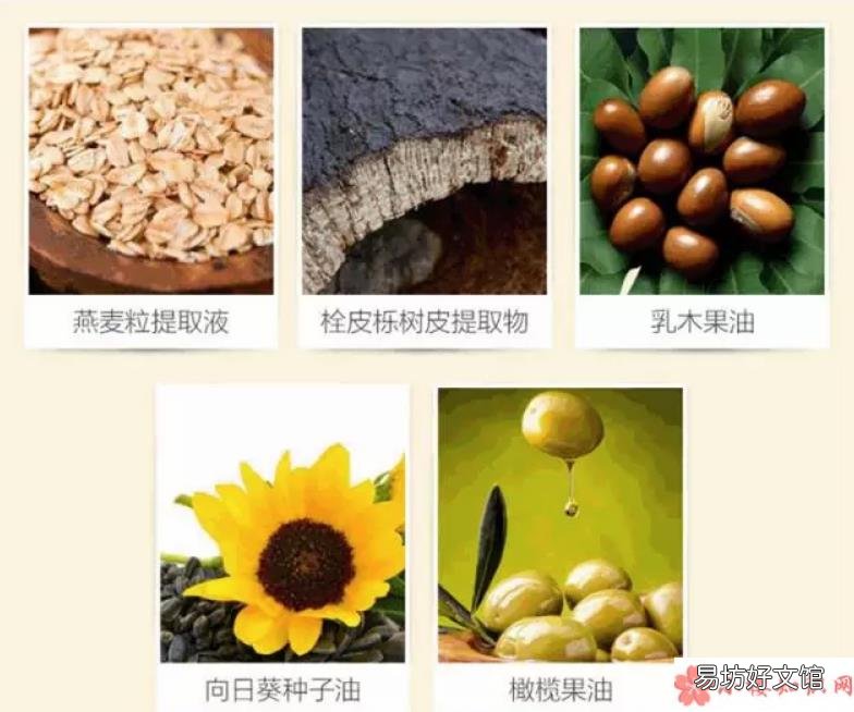 日本MamaHada胸部护理霜怎么样 产后胸部下垂变形怎么办