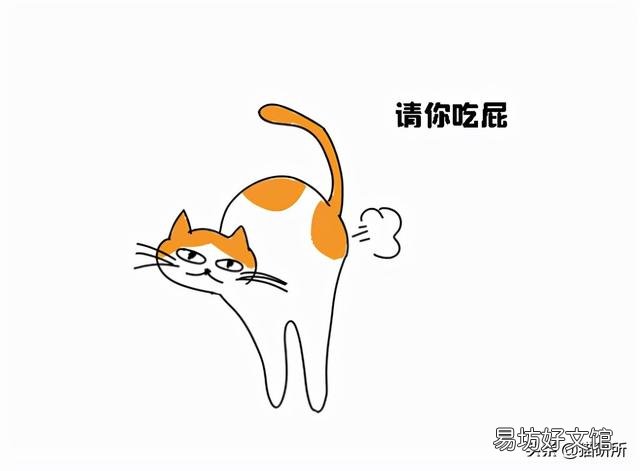 猫咪放屁是什么原因(猫咪放屁很臭正常吗)