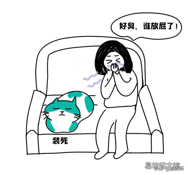 猫咪放屁是什么原因(猫咪放屁很臭正常吗)