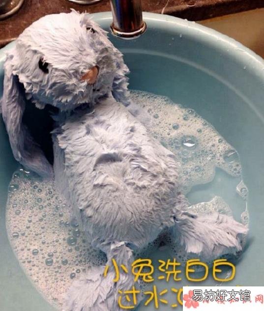 邦尼兔怎么洗的正确步骤 邦尼兔怎么清洗