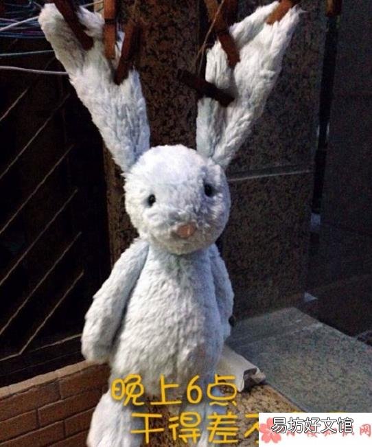 邦尼兔怎么洗的正确步骤 邦尼兔怎么清洗